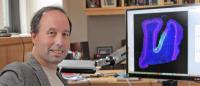 Michael Shadlen, MD, PhD